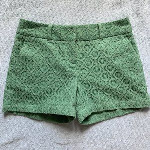 NWT Loft Shorts
